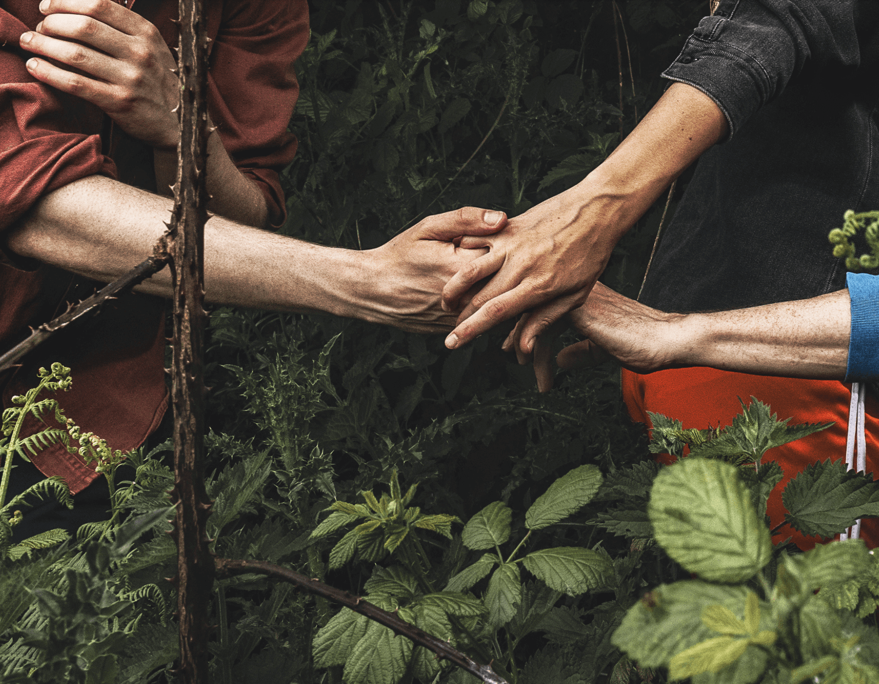 Firkin Crane Theatre, Cork: Cúinní an Ghiorria: Ceardlann Rince | Dance Workshop