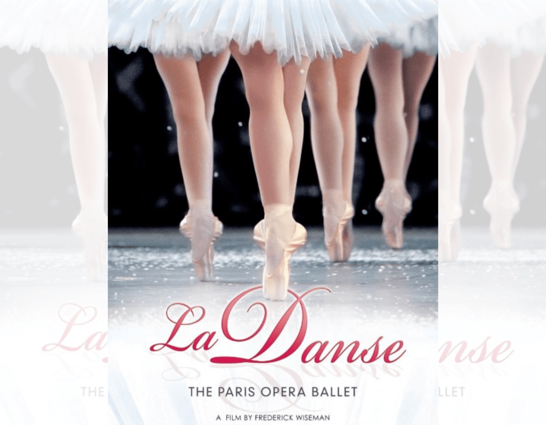 Firkin Crane Theatre, Cork: Cine Club: La Danse: The Paris Opera Ballet